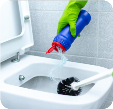 Toilet Cleaner